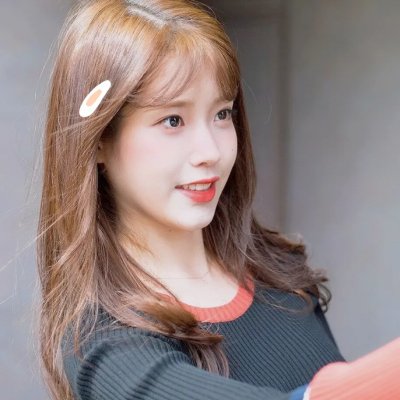 蔡李佛拳